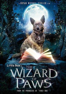家有魔犬 The Amazing Wizard of Paws (2015)海报