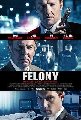 罪不可赦 Felony (2013)海报