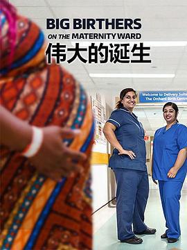 伟大的诞生 第一季 Big Birthers Season 1 (2019)海报