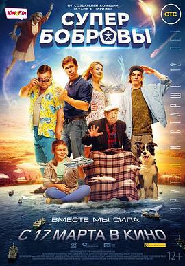 超能力家庭 СуперБобровы (2016)海报