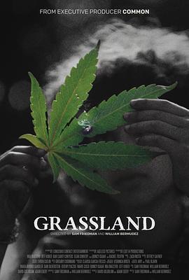 草叶之下 Beneath the Grass (2025)海报