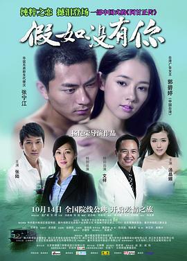 假如没有你 (2011)海报