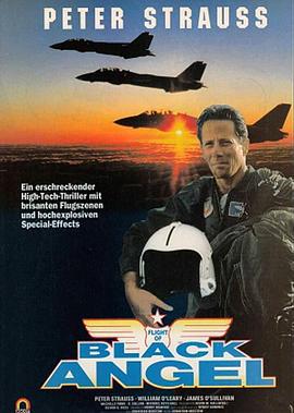 黑天使的坠落 Flight of Black Angel (1991)海报