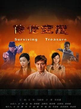 传世宝藏 (2011)海报