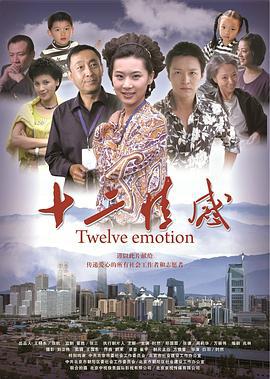 十二情感 (2010)海报