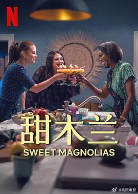 甜木兰 第四季 Sweet Magnolias Season 4 (2025)海报