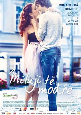 命中注定我爱你 Miluji te modre (2017)海报