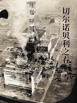 切尔诺贝利之春 Un printemps à Tchernobyl (2018)海报