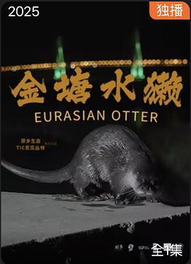 金塘水獭 (2025)海报