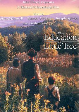 小树的故事 The Education of Little Tree (1997)海报