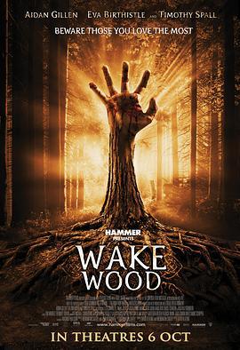 醒木 Wake Wood (2009)海报
