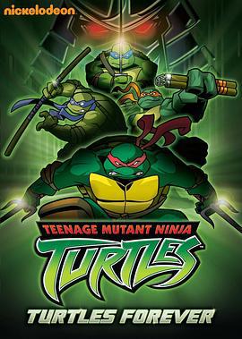 忍者神龟 第三季 Teenage Mutant Ninja Turtles Season 3 (2004)海报