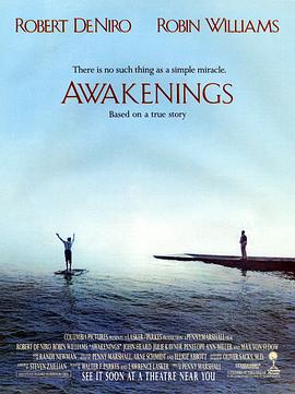 无语问苍天 Awakenings (1990)海报
