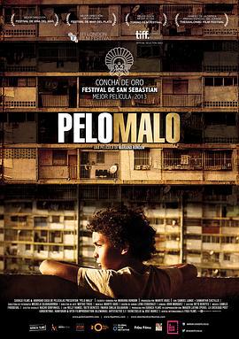 坏头发 Pelo malo (2013)海报