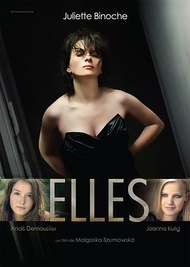 她们 Elles (2011)海报