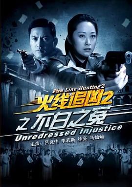 火线追凶2之不白之冤 (2013)海报