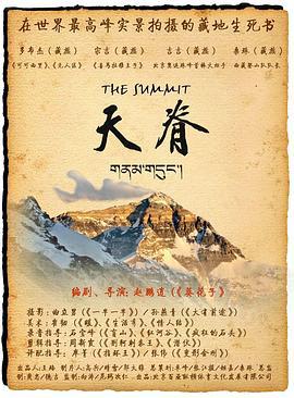 天脊 (2010)海报