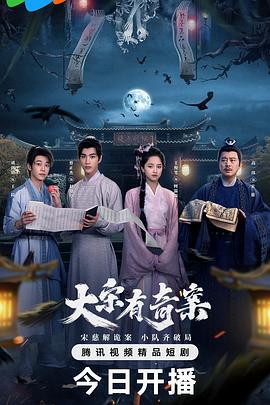 大宋有奇案 (2025)海报