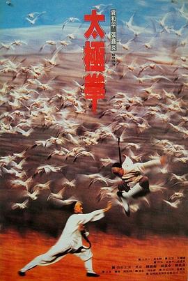 功夫小子闯情关 (1996)海报