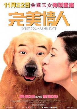 完美情人 (2001)海报