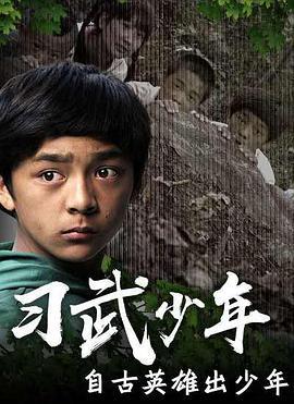 习武少年 (2016)海报