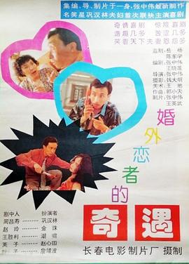婚外恋者的奇遇 (1994)海报