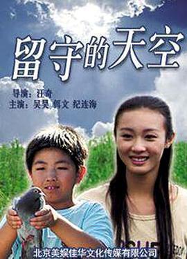 留守的天空 (2011)海报