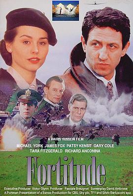 烽火岁月 Fall from Grace (1994)海报