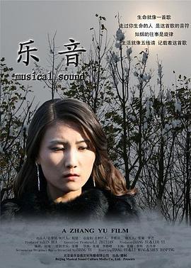 乐音 (2010)海报