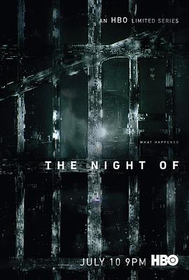 罪夜之奔 The Night Of (2016)海报