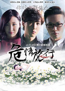 危情旅行 (2016)海报