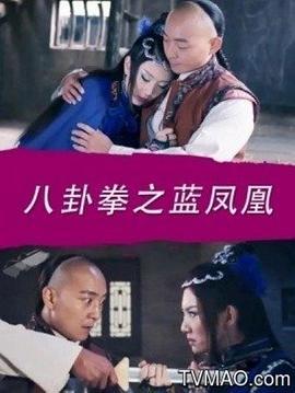 八卦拳之蓝凤凰 (2016)海报