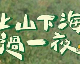 上山下海过一夜 上山下海過一夜 (2020)海报