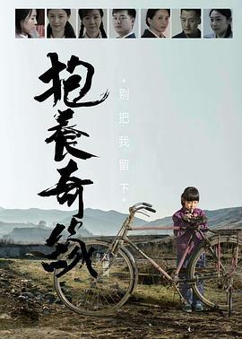 抱养奇缘 (2015)海报