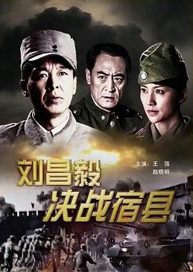 刘昌毅决战宿县 (2009)海报