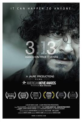 3:13 (2014)海报