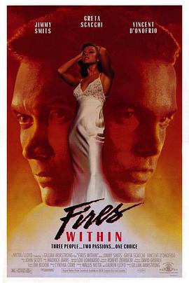 情如物证 Fires Within (1991)海报