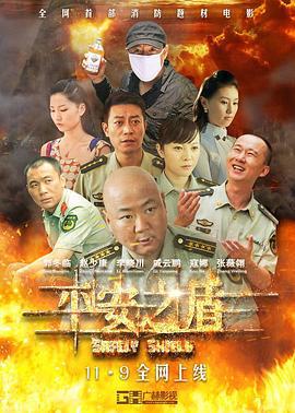 平安之盾 (2014)海报
