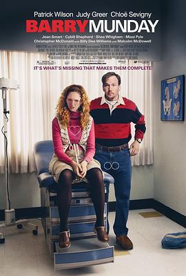巴里·穆迪 Barry Munday (2010)海报