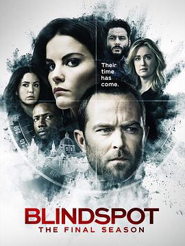 盲点 第五季 Blindspot Season 5 (2020)海报