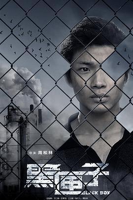 黑匣子 (2010)海报