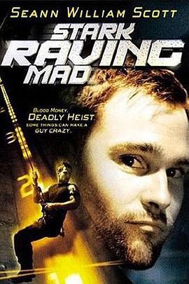 薯唛大贼 Stark Raving Mad (2002)海报