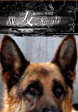 战友无声 (2007)海报