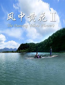 风中黄花2 (2017)海报