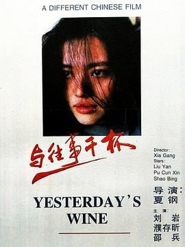 与往事干杯 (1995)海报
