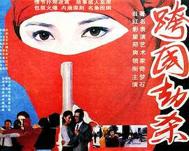 跨国劫杀 (1995)海报