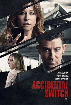 惊天追踪 Accidental Switch (2016)海报