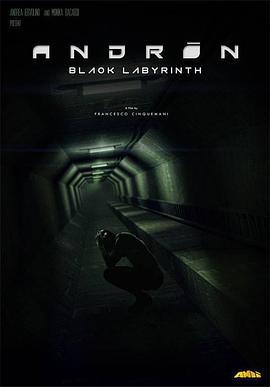 安德烈：黑色的迷宫 Andròn: The Black Labyrinth (2016)海报