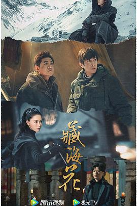 藏海花 (2024) yu_gao_pian海报
