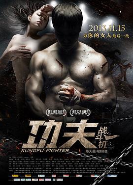 功夫战斗机 (2013)海报